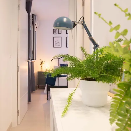 La Plaza-colon * 巴罗斯自由镇